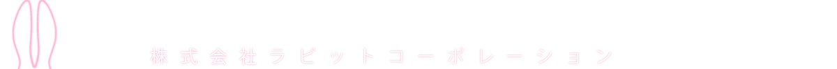RABBIT CORPORATION